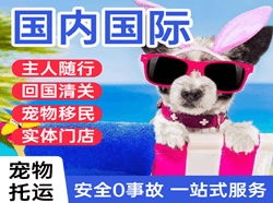 哈密伊州航空快运国际宠物托运 【国